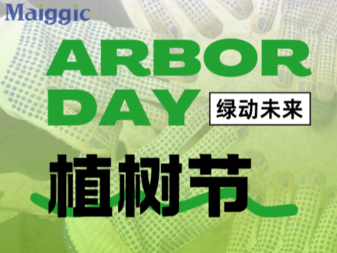 绿动未来 | 美琪健康植树节活动进行时